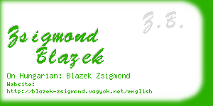 zsigmond blazek business card
